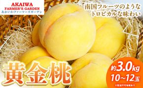 桃 2026年 先行予約 黄金桃 約3.0kg 10～12玉 もも 岡山県 赤磐市産 フルーツ 果物 あかいわファーマーズガーデン 果物類