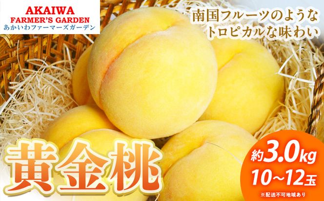 桃 2026年 先行予約 黄金桃 約3.0kg 10～12玉 もも 岡山県 赤磐市産 フルーツ 果物 あかいわファーマーズガーデン 果物類