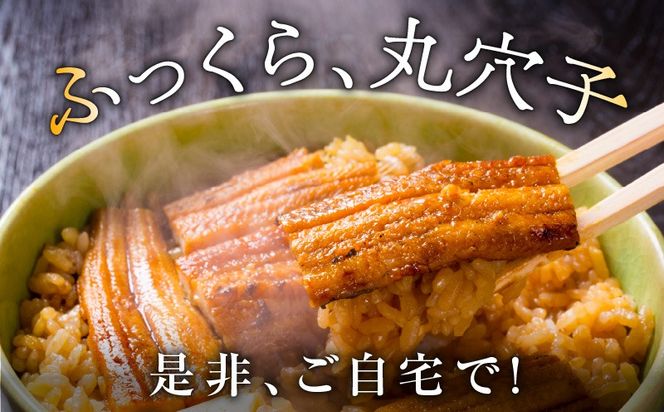 010B2030 【五郎藤】味付け丸穴子 2尾×4パック 計8尾（8人前）小分けパック 計600g前後 ペルー産 マルアナゴ まるあなご