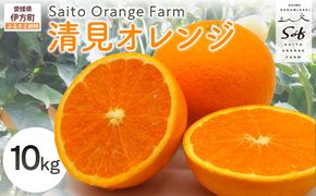 【先行予約】Saito Orange Farmの清見オレンジ10kg（2026年3月中旬頃より順次発送） IKTAQ008