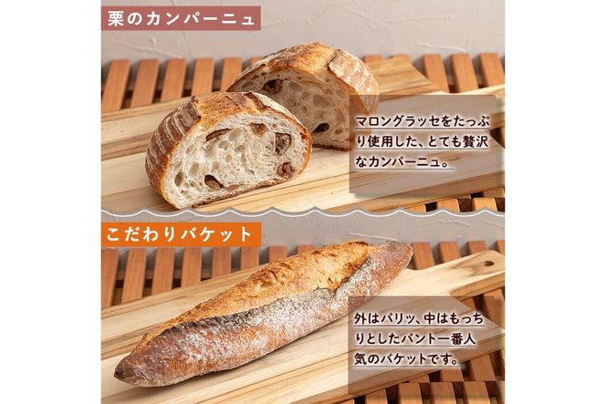 a986 パンの詰め合わせ(4種・合計5個) パン 冷凍パン 食パン クロワッサン 栗 カンパーニュ バケット 冷凍 セット 【Bakery Panto】