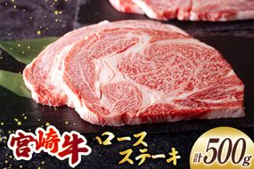 宮崎牛 ロース ステーキ 2枚 計500g [ミヤチク 宮崎県 美郷町 31au0093] 牛肉 肉 冷凍 宮崎県産 国産 霜降り サシ BBQ バーベキュー