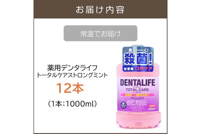 【B4-053】薬用デンタライフトータルケアストロングミント1000ml×12本