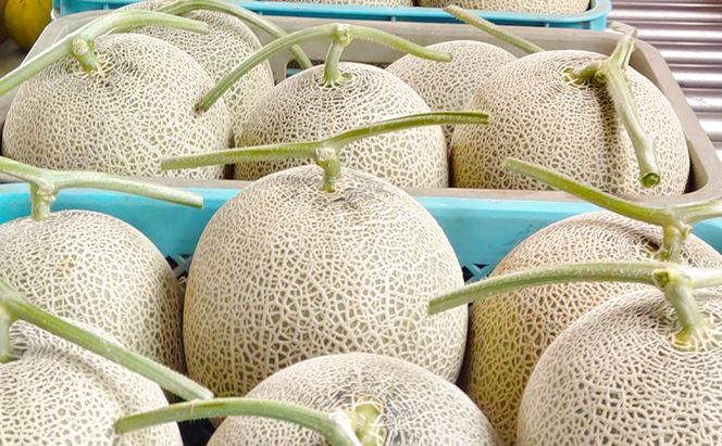 富良野産 キングメロン 4～5玉 秀品 (計8kg) 赤肉 メロン 富良野メロン 果物 フルーツ 甘い ジューシー 新鮮 ブランドメロン 贈り物 ギフト おやつ 夏 北海道 富良野市