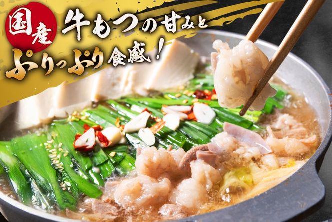 【老舗人気店】博多本格もつ鍋 4～5人前 [博多もつ鍋 太閤 福岡県 筑紫野市 21760394] モツ鍋 もつ鍋 博多もつ鍋 モツ ホルモン もつ 鍋 鍋セット 冷凍