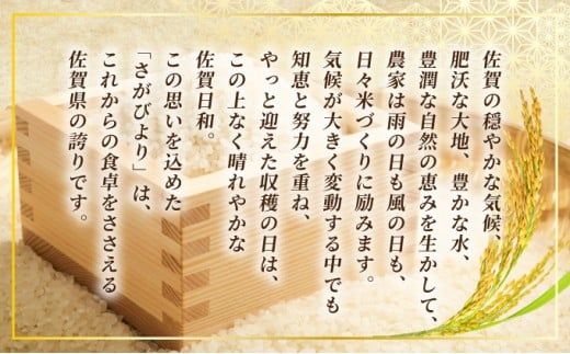 【選べる内容量/配送月】特A評価 令和7年産 さがびより 特A評価 5kg～20kg | 米 白米 令和7年産 佐賀県産 5kg 10kg 15kg 20kg 精米 ブランド米 新米 お取り寄せ ごはん 人気 高評価 九州米 食味ランキング ギフト 家庭用