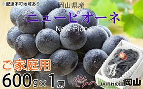 ぶどう 2026年 先行予約 ご家庭用 ニュー ピオーネ 約600g×1房 ブドウ 葡萄 岡山県産 国産 フルーツ 果物 岡山のぶどう 旬のフルーツ 旬の果物 大粒 種無し