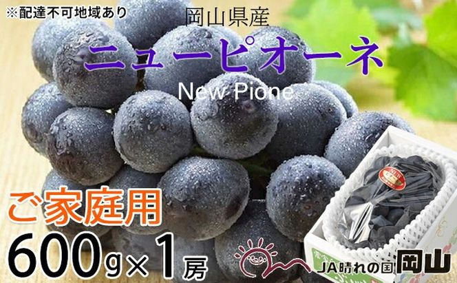ぶどう 2026年 先行予約 ご家庭用 ニュー ピオーネ 約600g×1房 ブドウ 葡萄 岡山県産 国産 フルーツ 果物 岡山のぶどう 旬のフルーツ 旬の果物 大粒 種無し