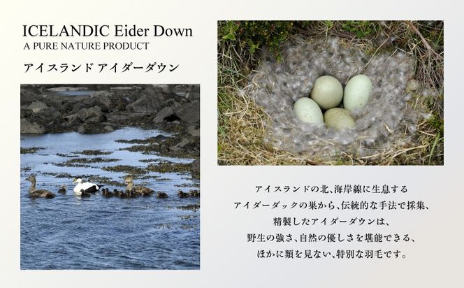 【富士屋ホテル】アイダーダウン 羽毛本掛けふとん  セミダブル［ アイダーダウン×国産シルク生地］　JR002