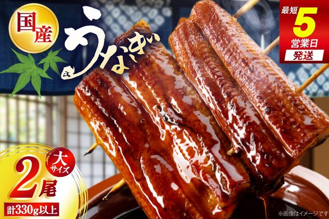 うなぎ 国産 日向うなぎ 蒲焼 大 2尾 計330g以上 [日向サンパーク 宮崎県 日向市 452061756] ギフト 小分け 真空パック 鰻 ウナギ うなぎの蒲焼 蒲焼 蒲焼き