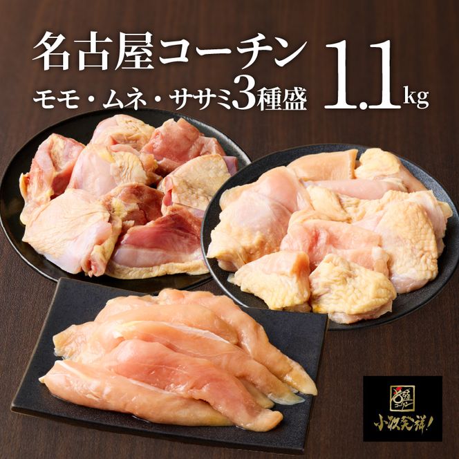 モモ ムネ ササミ 名古屋コーチン3種盛＜1.1kg＞大満足セット[001T03]