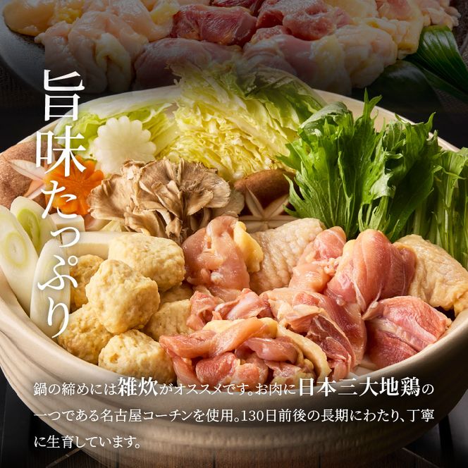 名古屋コーチン鍋セット&追い肉 名古屋コーチン半羽分（350g）セット［001T09］