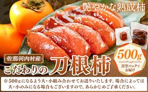 佐那河内村産 こだわりの刀根柿 500g (真空パック) 山本清 《30日以内に出荷予定(土日祝除く)》│ 干し柿 干柿 柿 かき カキ フルーツ 果物 くだもの 農家直送 家庭用 秋の味覚 旬 徳島県 佐那河内村---sanagouchi_ymk_3_500g---