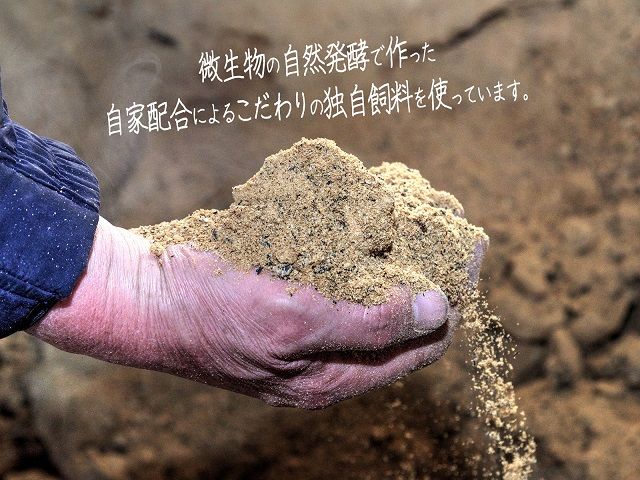 しゃぶしゃぶ肉 もも肉 2kg (500g×4) コクのある旨味とジューシーさが特徴 長谷川の自然熟成豚 豚 ぶた ブタ 豚肉 肉 お肉 しゃぶしゃぶ しゃぶしゃぶ用 しゃぶしゃぶ用肉 モモ肉 青森 青森県 鯵ヶ沢町 