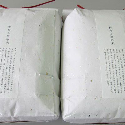 米 お米 【定期便】10kg×6ヶ月 鳥海山の恵み 農家直送！ あきたこまち（玄米・5kg×2袋） 6回 半年 サブスク