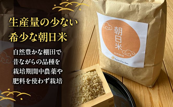 先行受付 自然栽培 農薬不使用 肥料不使用 ホタル舞う里山の棚田米 玄米10kg 令和8年産 朝日2kg×5袋