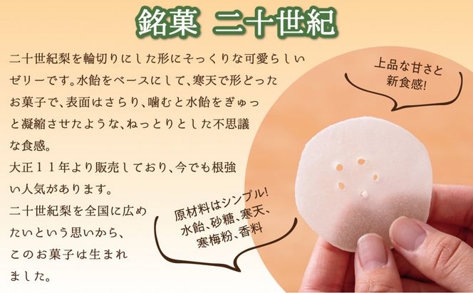 銘菓 二十世紀 24枚入 312011_EQ001