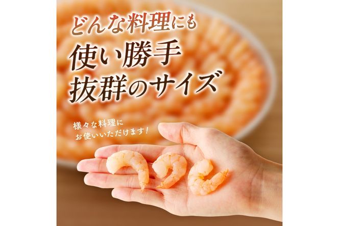 【D5-035】えび好きなあなたに！冷凍えびお届け便【隔月定期便(計3回発送)】