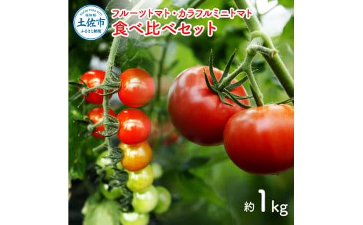 【先行予約】フルーツトマト食べくらべセット 約1kg 〈2027年1月下旬から順次発送〉トマト フルーツトマト ミニトマト 詰め合わせ セット 新鮮野菜 ふるーつとまと フルーツミニトマト カラフル トマト とまと 美味しい 高知県 土佐市【ファーム輝】 [BQBM003]