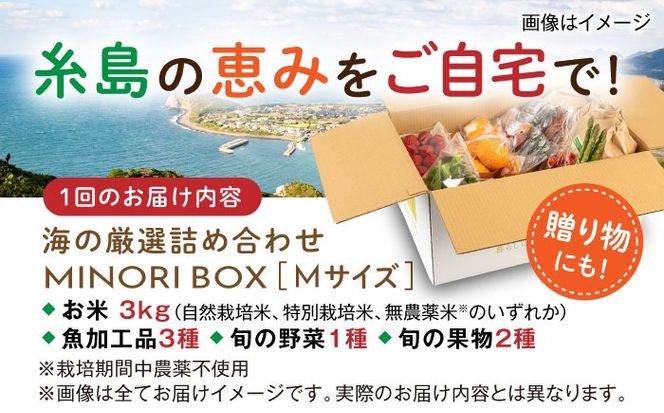 【全6回定期便】糸島産 魚 米 野菜 果物 厳選詰め合わせ MINORI BOX Mサイズ 糸島市 / emma.Inc / 米 魚 野菜 果物 詰め合わせ[AOP025]