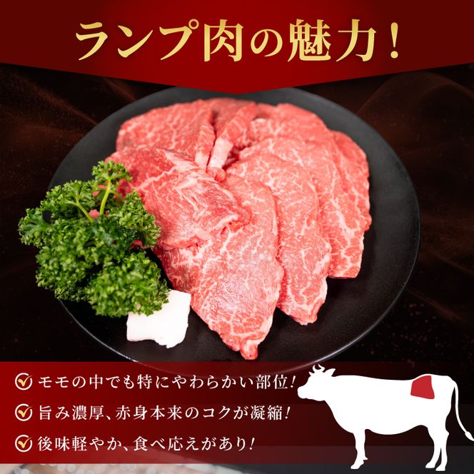 常陸牛ランプ肉 焼き肉用 500g|黒毛和牛 国産牛 赤身肉 希少部位 牛肉 人気 茨城県 取手市（AV002）
