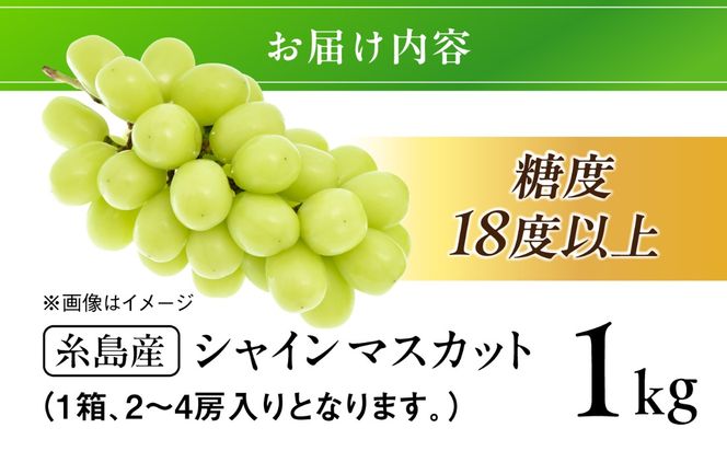 【先行受付】【糖度18度以上】 糸島産 シャインマスカット 1kg（2〜4房）【2026年8月中旬より順次発送】 糸島市 / 和饗エコファーム フルーツ 果物[AVI006] シャインマスカット マスカット ぶどう ブドウ フルーツ 果物 甘い 高糖度