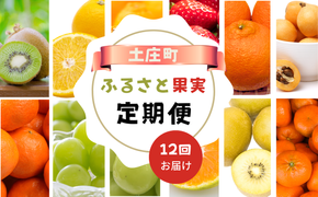 【 小豆島 】【12回お届け】土庄町 ふるさと果実 定期便 12回