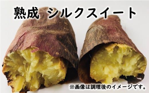 訳あり 熟成 さつまいも 食べ比べ 3種 セット 紅はるか 安納芋 シルクスイート 合計 5kg サイズ混合 サツマイモ 焼き芋 干し芋 丸干し 冷凍焼き芋 冷やし焼き芋 やきいも 蜜芋 ほしいも スイートポテト いも天 サイズミックス  甘い ねっとり 生芋 新芋 あんのういも 甘藷 べにはるか スイーツ 国産 糖度 産地直送 農家直送 数量限定 7000円 愛媛県 愛南町 ミッチーのおみかん畑