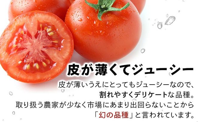 【2027年先行予約】北海道産 ミニトマト ネネ 約3kg フルーツトマト 幻の 高糖度 ジューシー プチ トマト 甘い 濃厚 彩り 鮮やか 希少 お中元 お歳暮 暑中見舞い 帰省土産 ご自宅用 産地直送 大滝農園 送料無料 北海道
