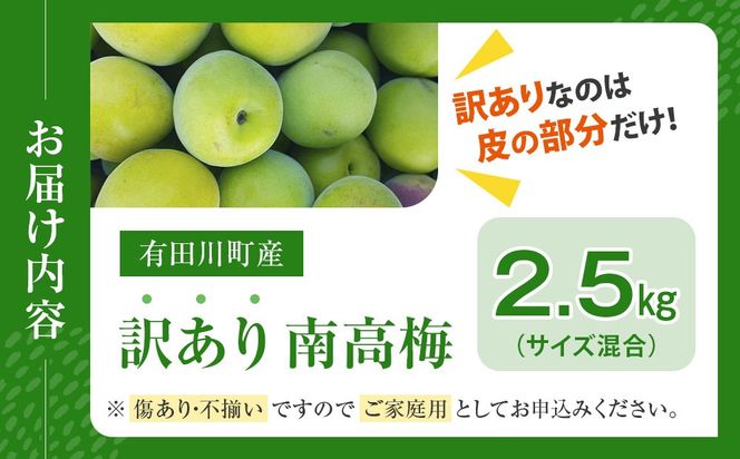 青梅 2.5kg 紀州南高梅 シロップ・梅酒・梅干し用など 和歌山県有田産 訳あり 2026年5月下旬～7月上旬発送予定  CE050