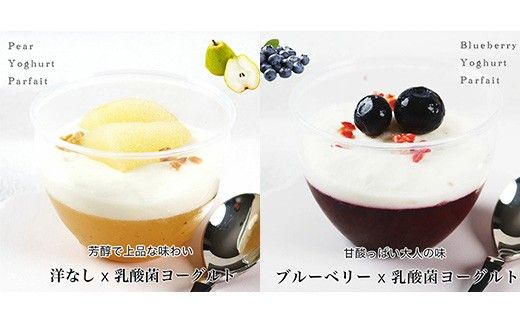 フルーツヨーグルトパルフェ10個入 　パティスリー天使のおくりもの　※離島への配送不可