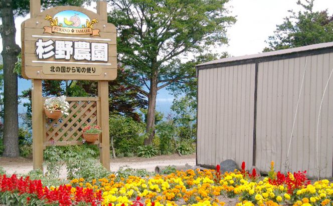 富良野産 キングメロン 大玉 2玉 秀品 計4kg 赤肉 メロン 富良野メロン 果物 フルーツ 甘い ジューシー 新鮮 ブランドメロン 贈り物 ギフト おやつ 夏 北海道 富良野市