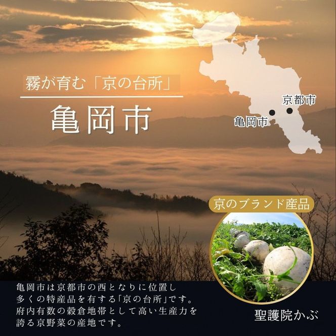 ys{Tsz 2026 s Ts ؖ̂ނ ̂ id 32i 2lO 3lO ӂ邳Ɣ[ł 2i }Ⓚ 𓀂邾Ŗ{i s 2026 ⁦12/29 ւ̂͂s