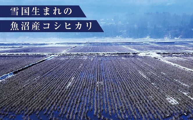 【定期便/6ヶ月】無洗米 ゆきまち米1kg 極上魚沼産コシヒカリ 米 こしひかり 無洗米 白米 ご飯 定期便 定期