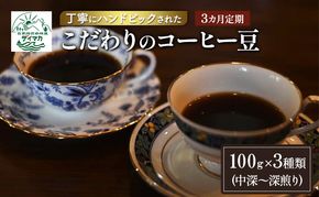 【3ヵ月定期便】丁寧にハンドピックされたこだわりのコーヒー豆100g×3種類(中深～深煎り)【粉】  珈琲 コーヒー豆 珈琲豆 豆 焙煎 自家焙煎 セット