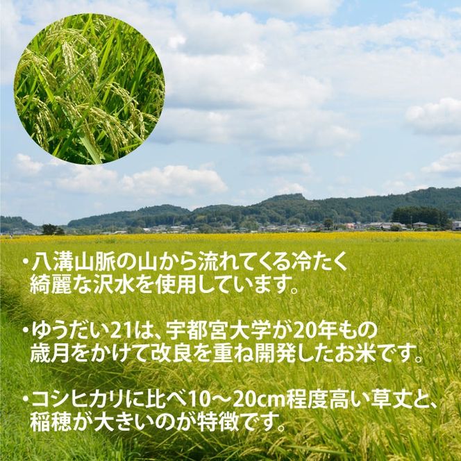 TVでも話題のお米 ゆうだい21 ＼令和7年産／【数量限定】あい　farm　やなぎのお米　令和7年産 ゆうだい21 玄米 5kg | 栃木県 益子町 ふるさと納税 お米 米 5kg 玄米 (DQ008)