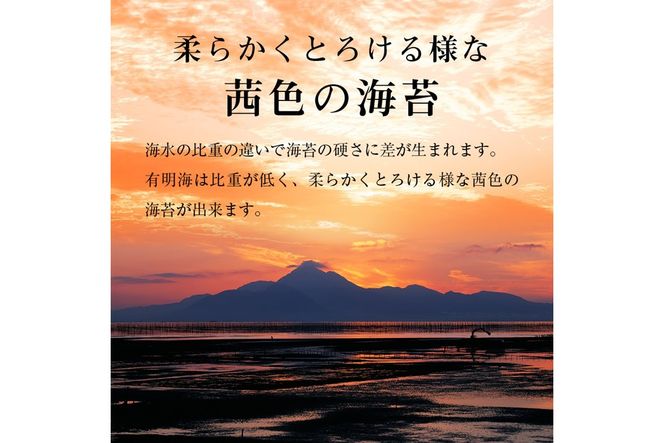 【A5-518】有明海産 味海苔 10切100枚 4本セット 合計400枚