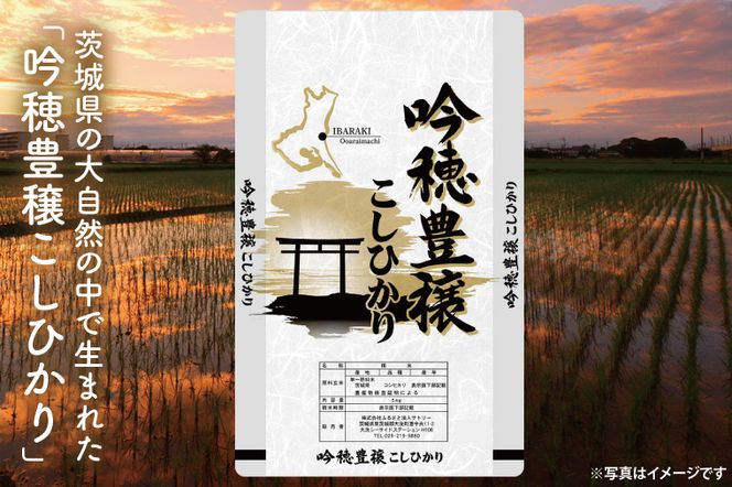 【6ヵ月定期便】 ＜令和8年産＞新米 吟穂豊穣こしひかり 5kg ×6ヵ月 精米 コシヒカリ こしひかり 米 ごはん コメ お米 白米 国産 茨城県産