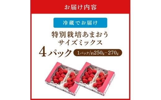 【先行予約受付中】【2026年12月以降順次発送】特別栽培あまおう4パック(サイズミックス)【うるう農園】_AS1968-00
