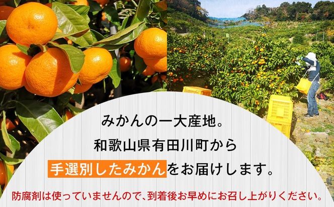 有田みかん 早生みかん 秀品または優品 約3kg S～2Lサイズ混合 としみ農園 ET02