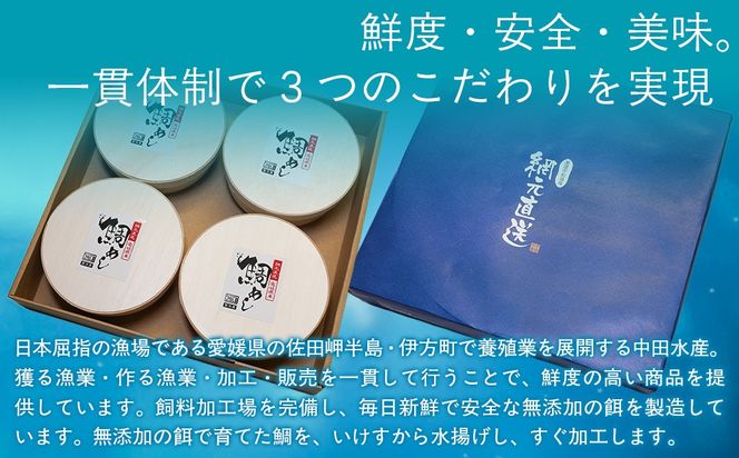 鯛めしセット（4個入り）  【 鯛 海鮮 魚介 魚 冷凍 宇和海産 愛媛】 IKTN003 