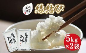 219.日置さん家のお米「縁結び」5kg×2袋【精米・2025年産】 313726_AE025VC01