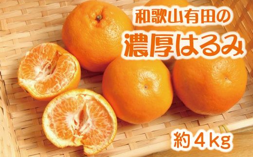  和歌山 有田の濃厚 はるみ 4kg(2L又は3L) / みかん ミカン オレンジ 柑橘 フルーツ 果物 旬 ※2027年1月下旬～2月中旬頃順次発送予定 【ard013-noko-r-4B】