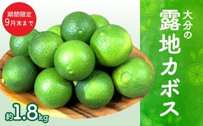 【C09022】【期間限定9月末まで】大分の露地カボス 約1.8kg
