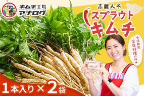 熟成秘伝の高麗人参スプラウトキムチ(1本入り×2袋)【エナキム 健美キムチ 健康志向 熟成キムチ ご飯のお供 発酵食品 手作り 辛味控えめ 国産素材】(H104186)