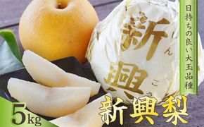 梨　新興梨　約5kg（9～14玉入り）　国産 期間限定 デザート 甘い ジューシー ふるさと 納税 梨 なし ナシ 5kg  先行予約 ふるさと 納税 フルーツ くだもの 　TO00134