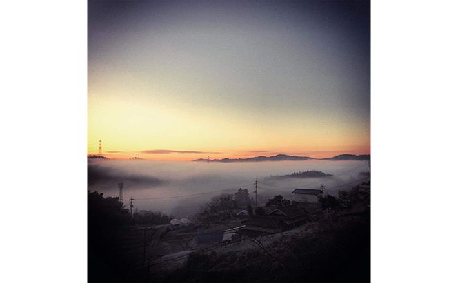 【メール便】 4種スペシャルティコーヒー各50g【珈琲ドリップのレシピ付き】 飲料類 ドリンク 飲み物 コーヒー豆 フルーツ感 ビター 飲み比べ 新豆 コーヒー飲み比べ 