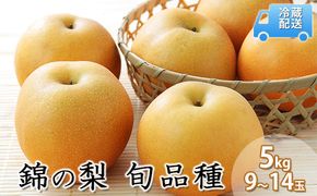 梨 5kg 錦の梨 約9玉～14玉 フルーツ なし ナシ 果物 デザート 2026年発送 古里農園 配送不可:離島