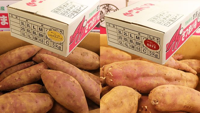 さつまいも 【 選べる品種 】 5kg / 10kg ( 箱込 ) サツマイモ さつま芋 芋 いも 野菜 焼き芋 スイーツ おやつ 国産 シルクスイート 紅はるか 紅あずま ふくむらさき ほしあかね