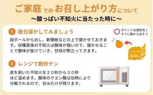 ご家庭用 訳あり 不知火 約3.5kg ＋痛み保証分 大小混合 〈2027年2月初旬～3月下旬までに順次発送〉 家庭用 訳アリ わけあり みかん ミカン フルーツ 果物 くだもの 不知火 しらぬい 不知火デコポン 蜜柑 柑橘 人気 予約 先行予約 数量限定【njb670E】